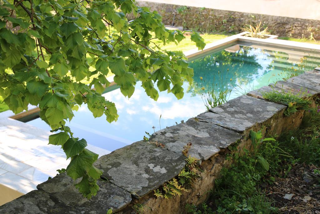 Palazzu Nicrosi Hotel Rogliano Exterior foto