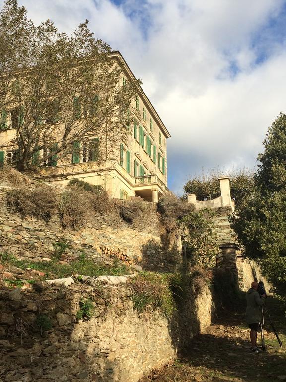 Palazzu Nicrosi Hotel Rogliano Exterior foto
